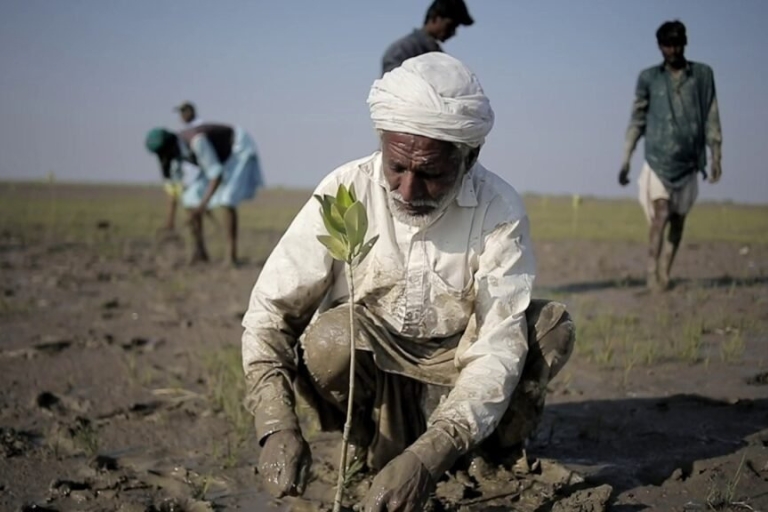 Carbon Markets for Green Growth