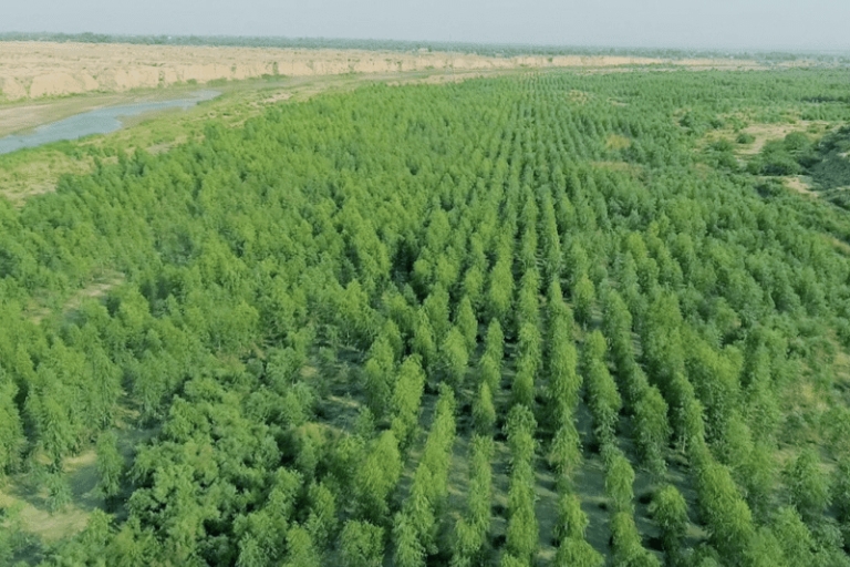 Debt-for-Nature Swaps Explained