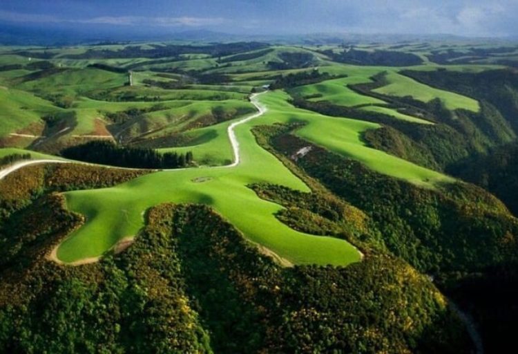 Carbon Markets for Green Growth