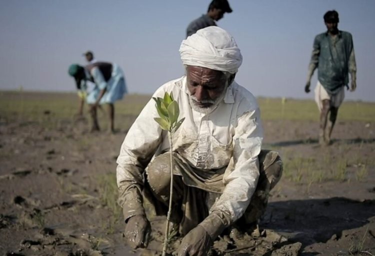 Carbon Markets for Green Growth