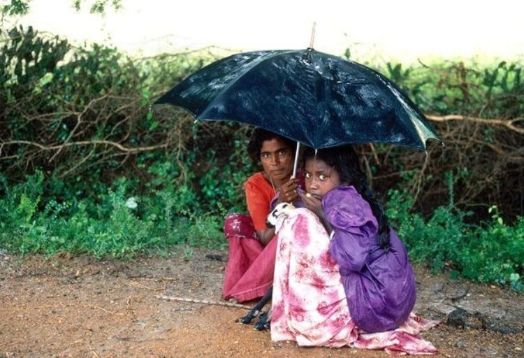 Climate Insurance Explained